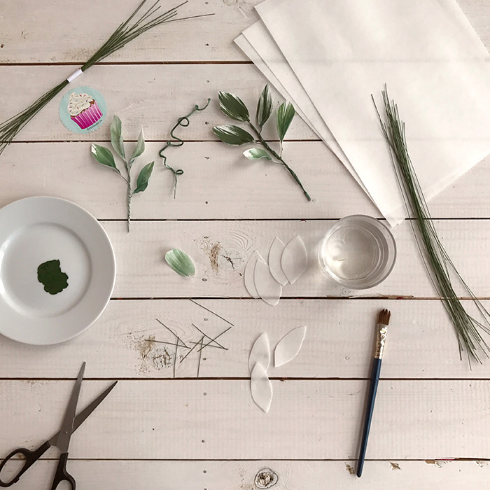 IMG-2170.jpg IMG-2170.jpg