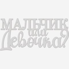 Топпер декоративный акриловый "Мальчик или девочка" Серебро 10,5х4 см ТСК413