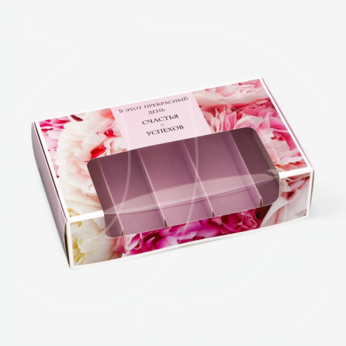 Коробка на 5 эклеров и эскимо с окном "Счастья и успехов" 25,2х15х6,6 см 10719092